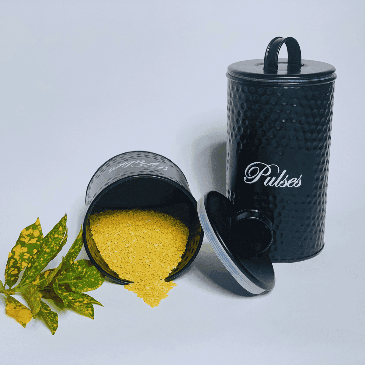 Metal Pulses Storage container (Set of Two) – LOOSEBUCKET